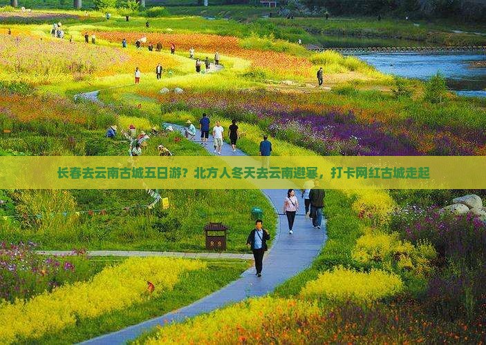 长春去云南古城五日游？北方人冬天去云南避寒，打卡网红古城走起