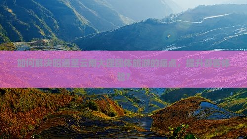 如何解决昭通至云南大理团体旅游的痛点，提升游客体验？