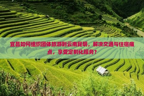 宜昌如何组织团体旅游到云南昆明，解决交通与住宿痛点，享受定制化服务？
