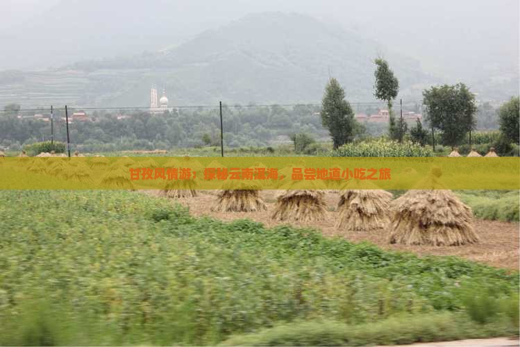甘孜风情游：探秘云南洱海，品尝地道小吃之旅