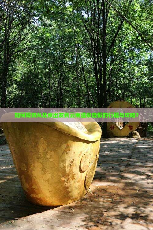 如何规划从北京出发到云南温泉度假的行程与攻略？