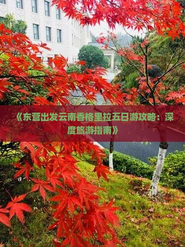 《东营出发云南香格里拉五日游攻略：深度旅游指南》