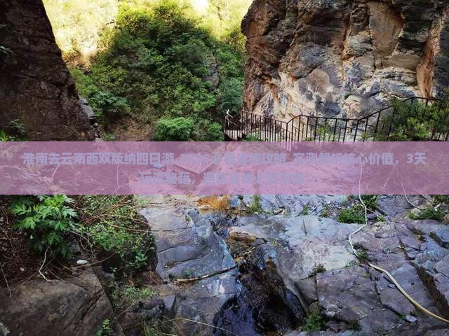 淮南去云南西双版纳四日游
