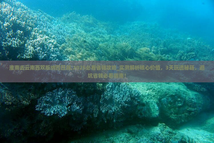 淮南去云南西双版纳四日游