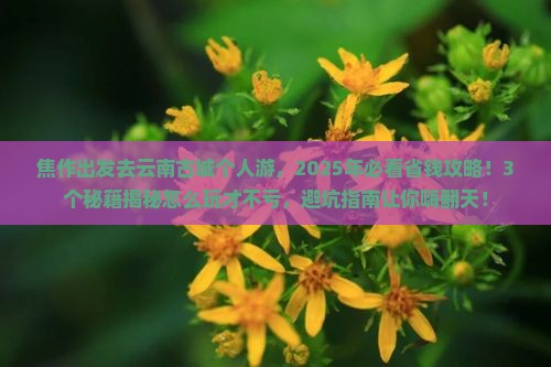 焦作去云南古城个人游
