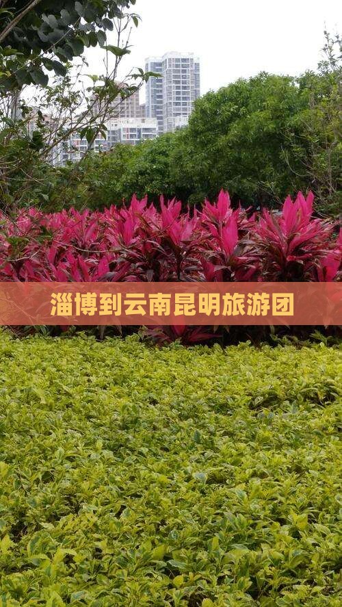 淄博去云南昆明团体旅游
