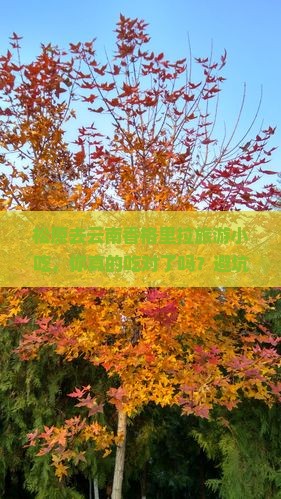 松原去云南香格里拉旅游小吃