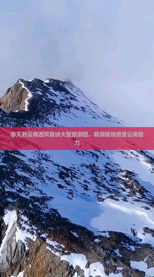 春天到云南西双版纳大型旅游团