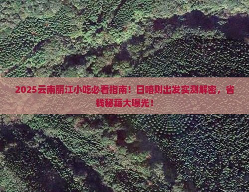 日喀则去云南丽江旅游小吃