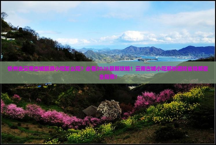 忻州去云南古城旅游小吃