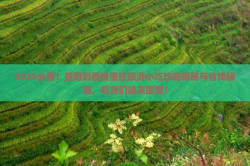 益阳到云南香格里拉旅游小吃
