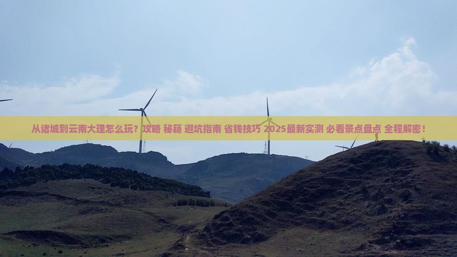 诸城到云南大理哪里玩