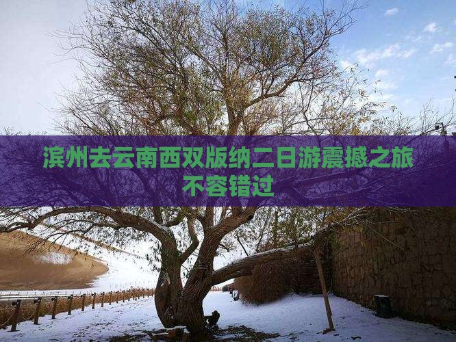 滨州去云南西双版纳二日游