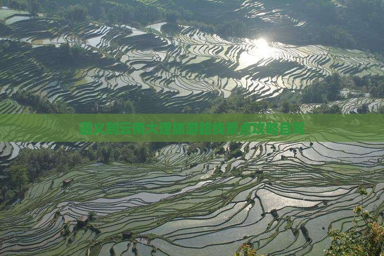 遵义到云南大理旅游