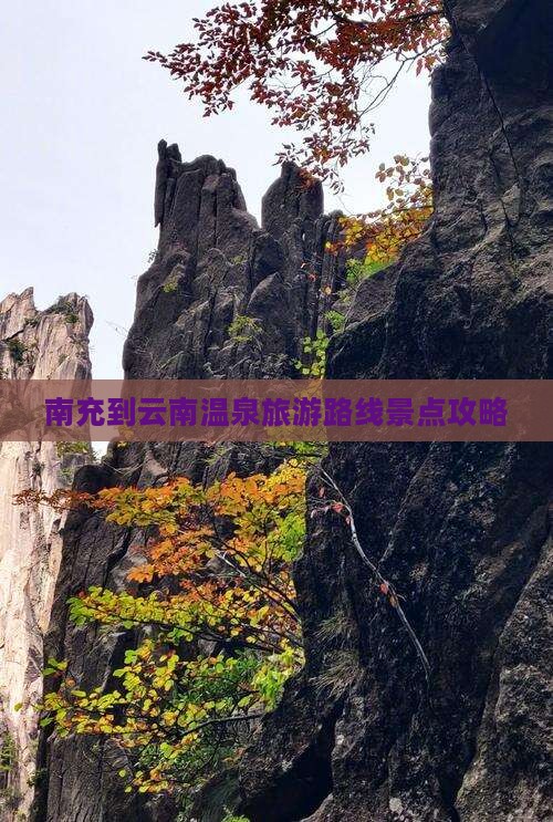 南充到云南温泉旅游