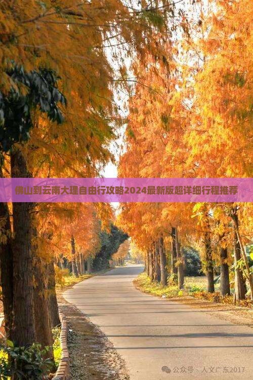 佛山到云南大理自由行
