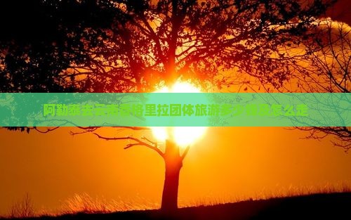 阿勒泰去云南香格里拉团体旅游