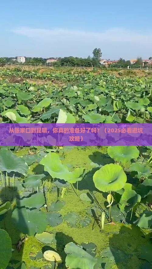 张家口到云南昆明旅游