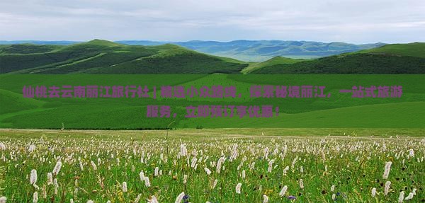 仙桃去云南丽江旅行社