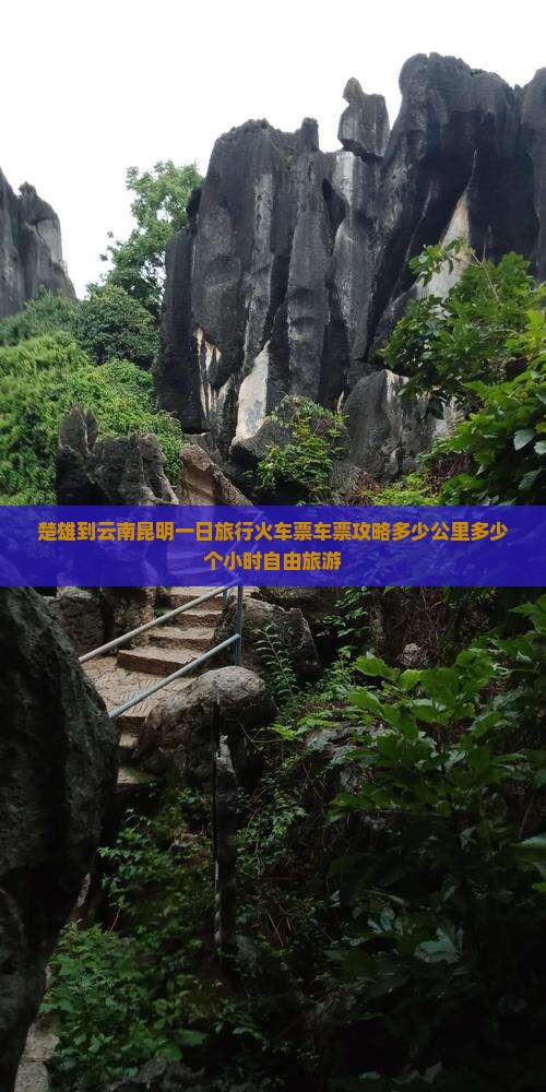 楚雄到云南昆明一日