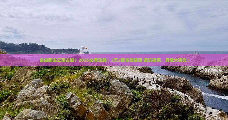 巢湖到云南古城自由团