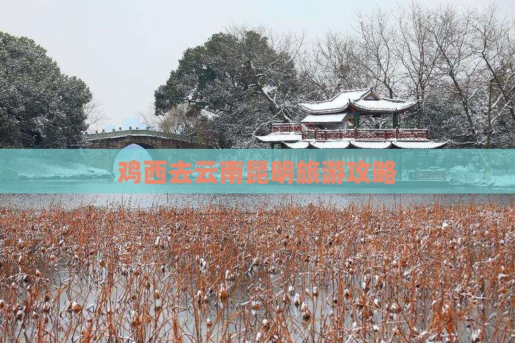 鸡西去云南昆明景点