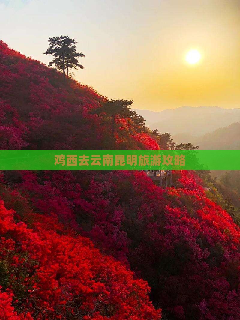 鸡西去云南昆明景点