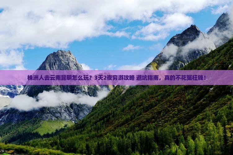 株洲去云南昆明旅行社