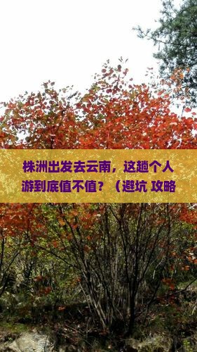株洲到云南个人游