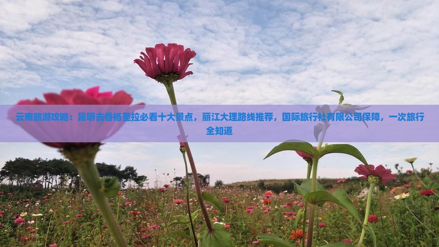 昆明去云南香格里拉景点 昆明去云南香格里拉景点