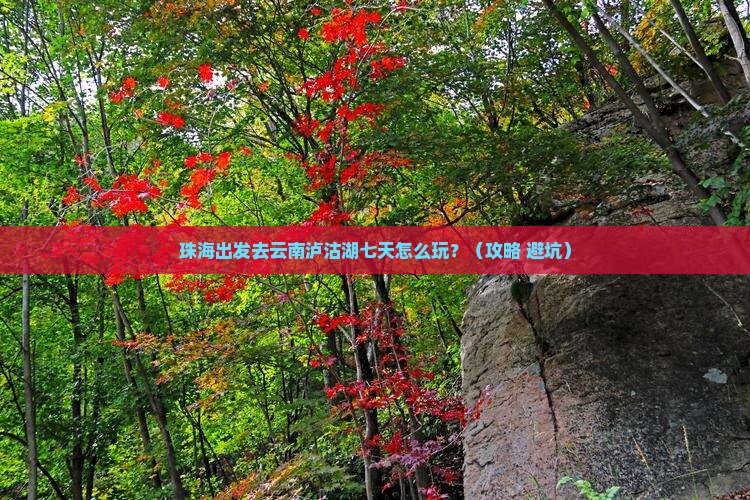珠海到云南泸沽湖七日游
