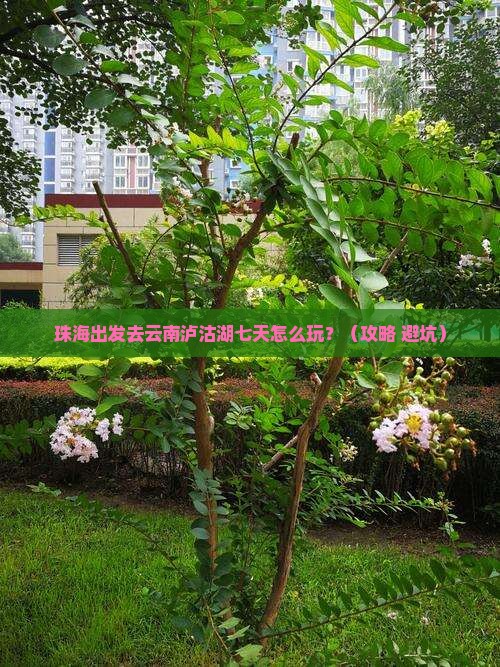 珠海到云南泸沽湖七日游
