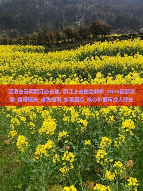 普洱去云南丽江必去地
