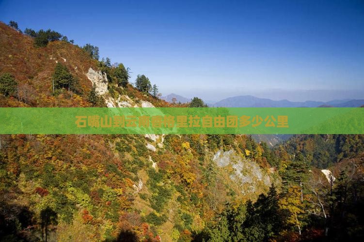 石嘴山到云南香格里拉自由团