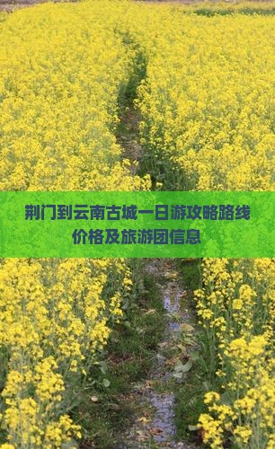 荆门到云南古城一日