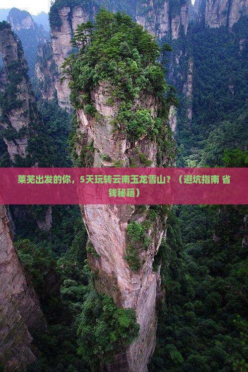 莱芜到云南玉龙雪山旅行社