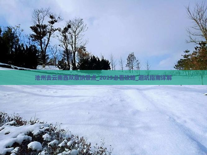 池州去云南西双版纳景点