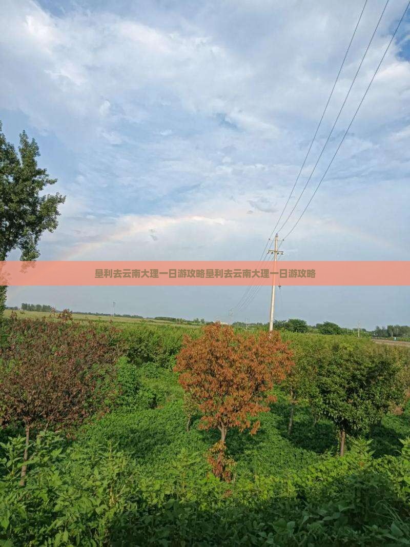 垦利去云南大理一日