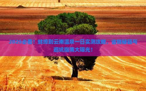 蚌埠到云南温泉一日
