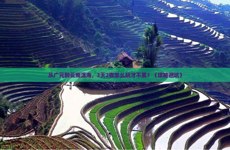 广元到云南洱海攻略
