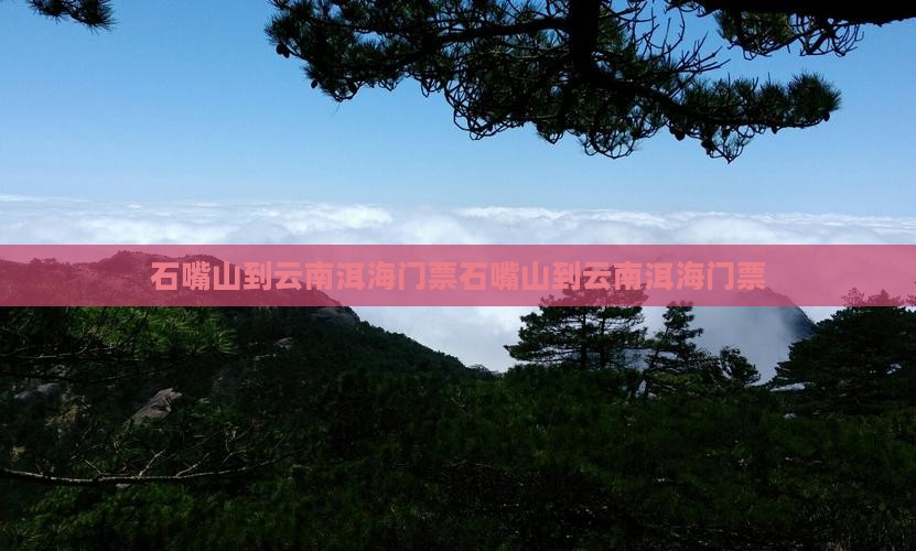 石嘴山到云南洱海门票