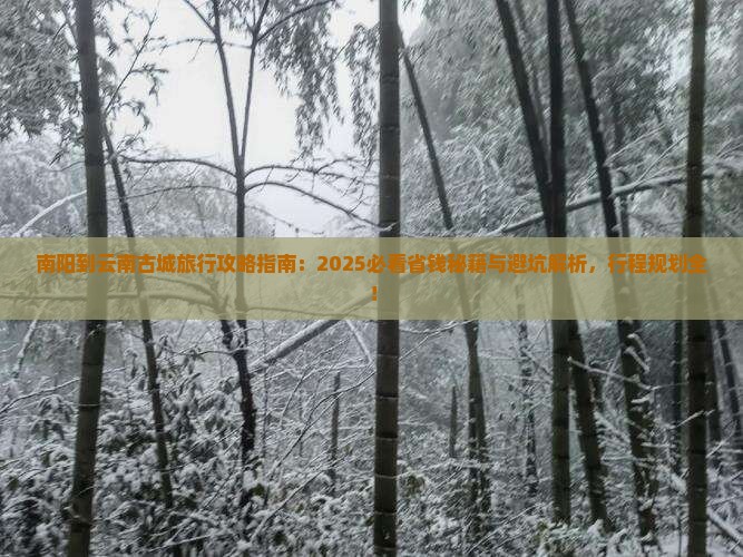 南阳到云南古城旅行社