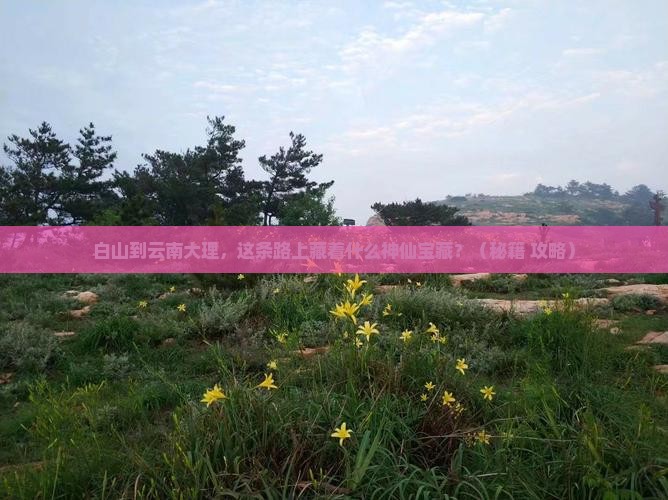 白山到云南大理必去地