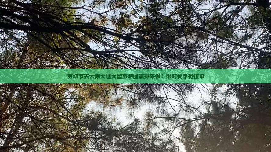 劳动节去云南大理大型旅游团