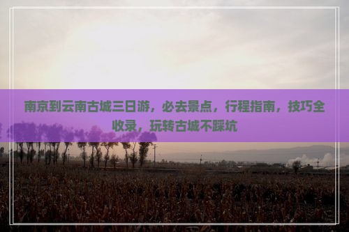 南京到云南古城三日游