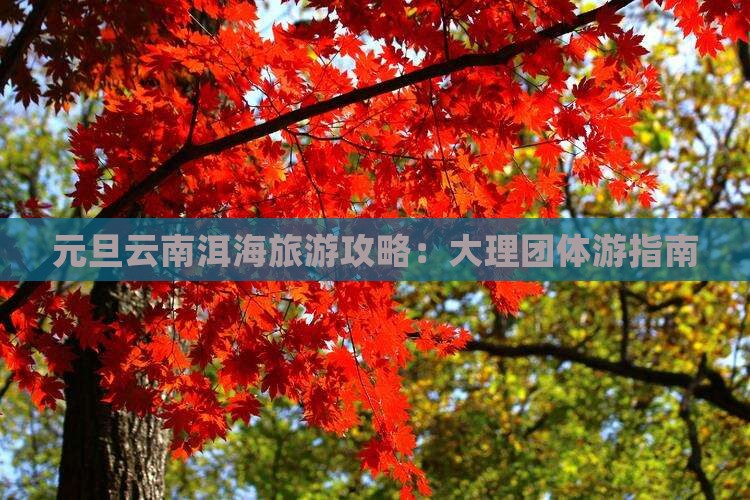 元旦去云南洱海团体旅游