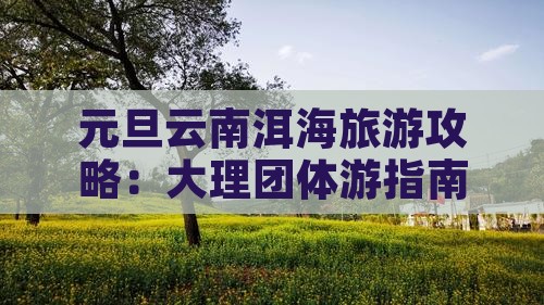 元旦去云南洱海团体旅游