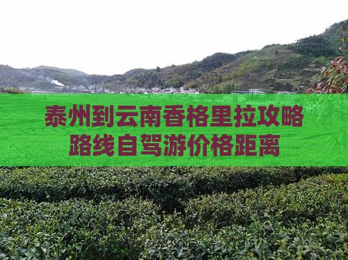 泰州到云南香格里拉攻略