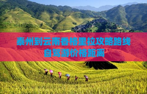 泰州到云南香格里拉攻略