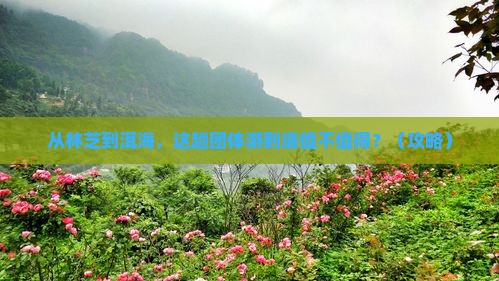 林芝去云南洱海团体旅游